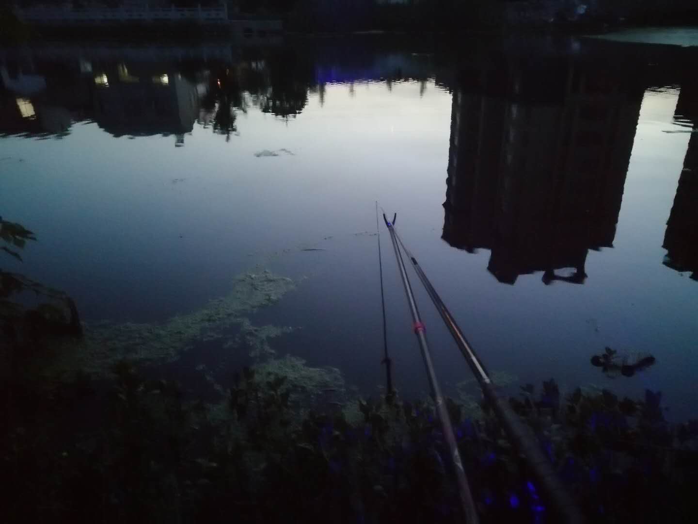 夜钓技巧小视频,夜钓技巧及方法全攻略