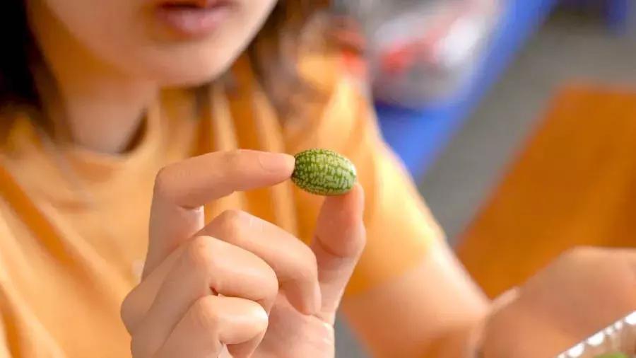 在拼多多上买水果方法,拼多多买水果全额退款