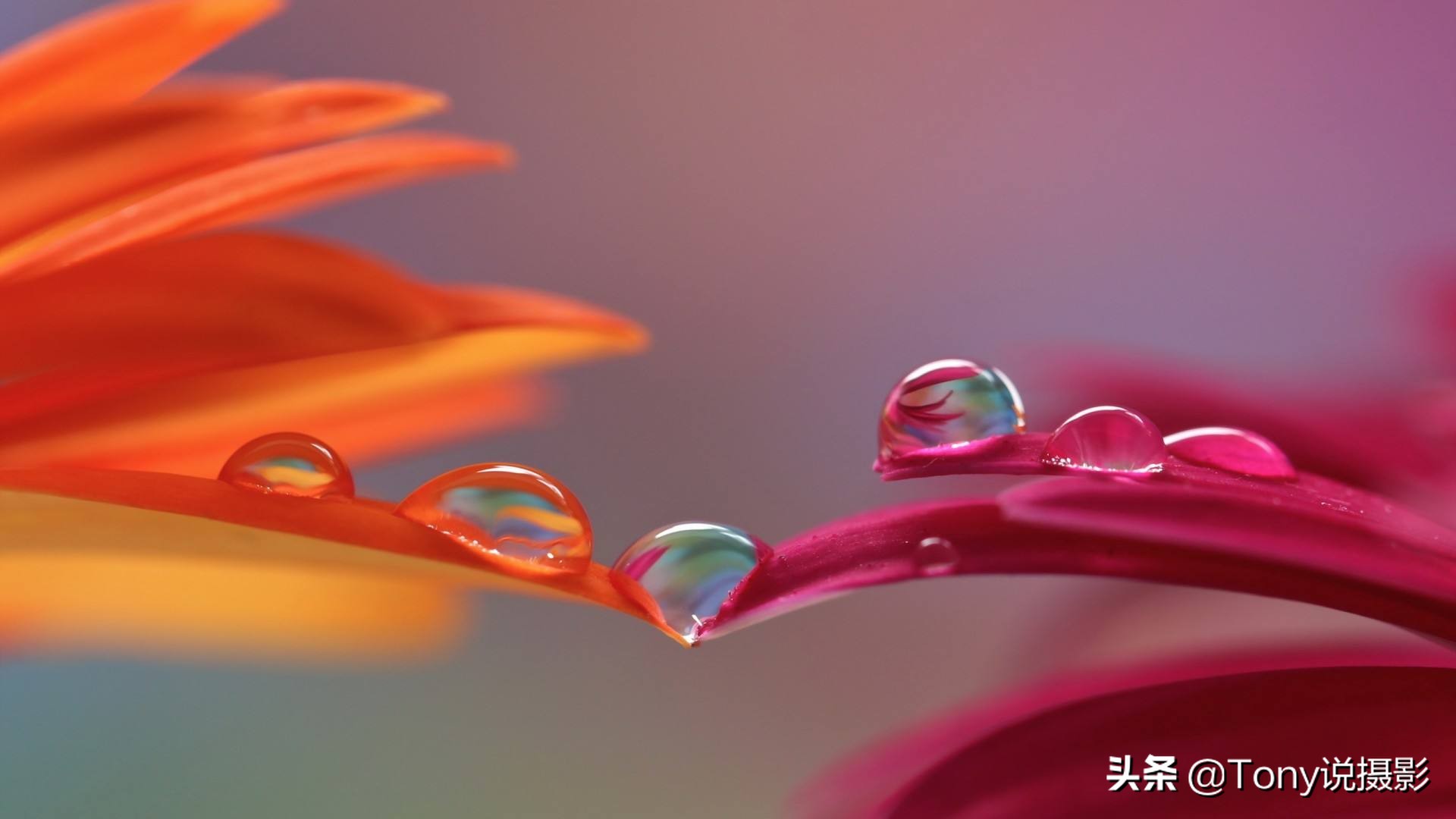 摄影:照片拍糊怎么办?4个应对技巧要学会