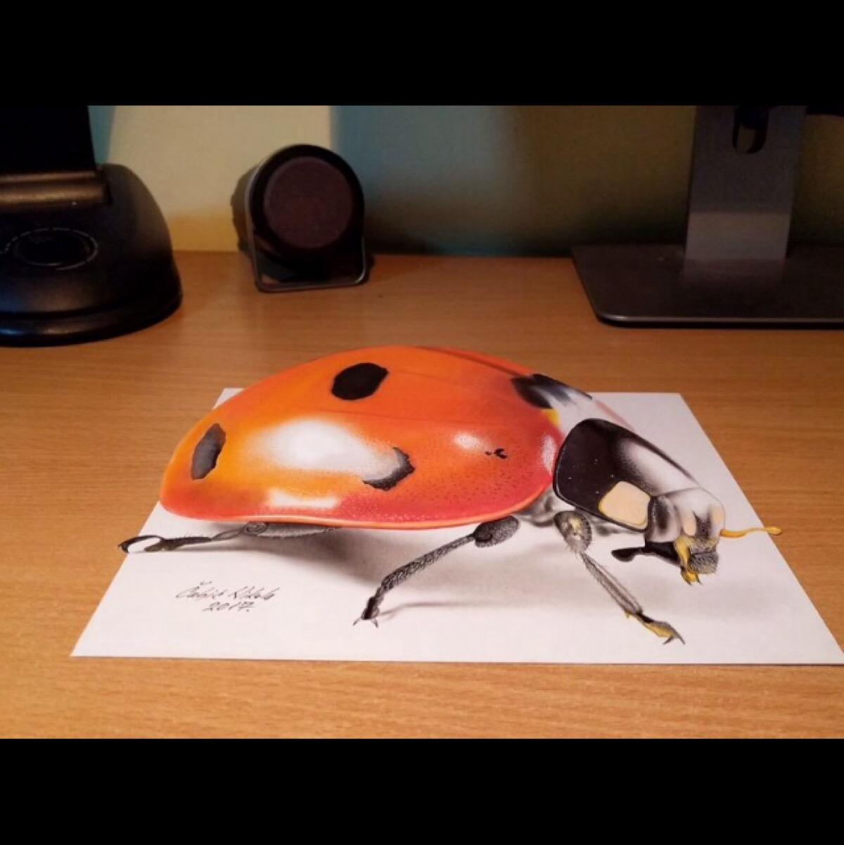 大开眼界,终于知道什么是3D绘画了,太惊喜了