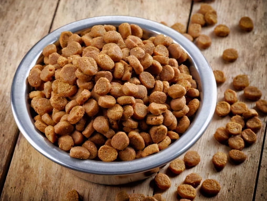 柯基吃什么牌子狗粮比较好,柯基2个月多少粒狗粮