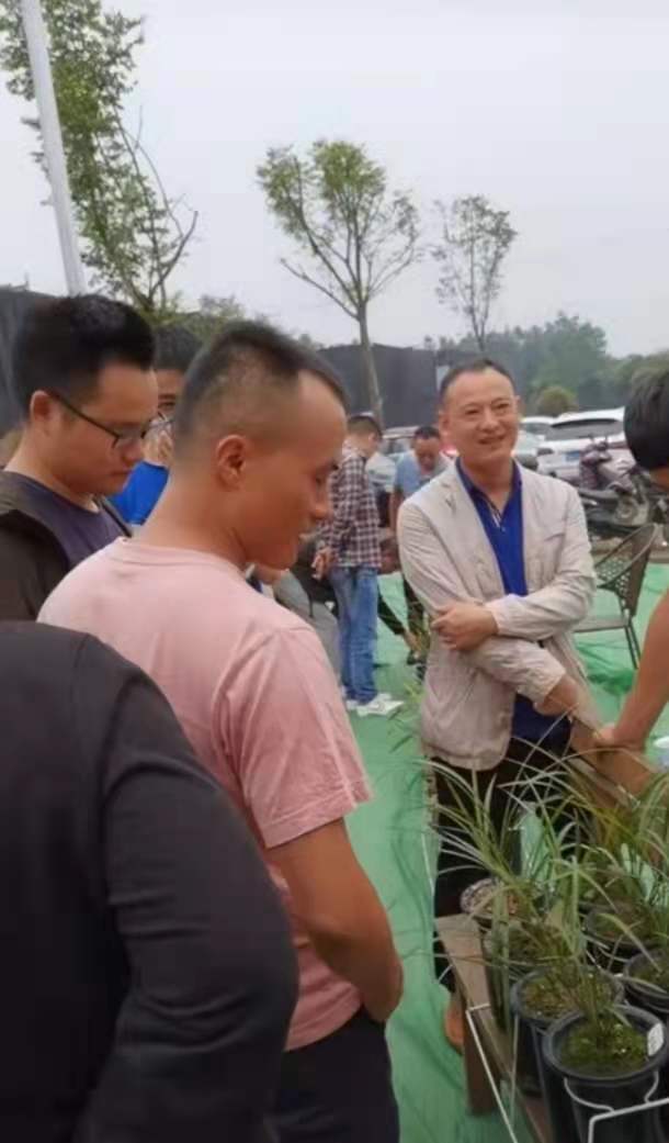 郫都区兰花交易市场在哪里,郫都最大的兰花市场