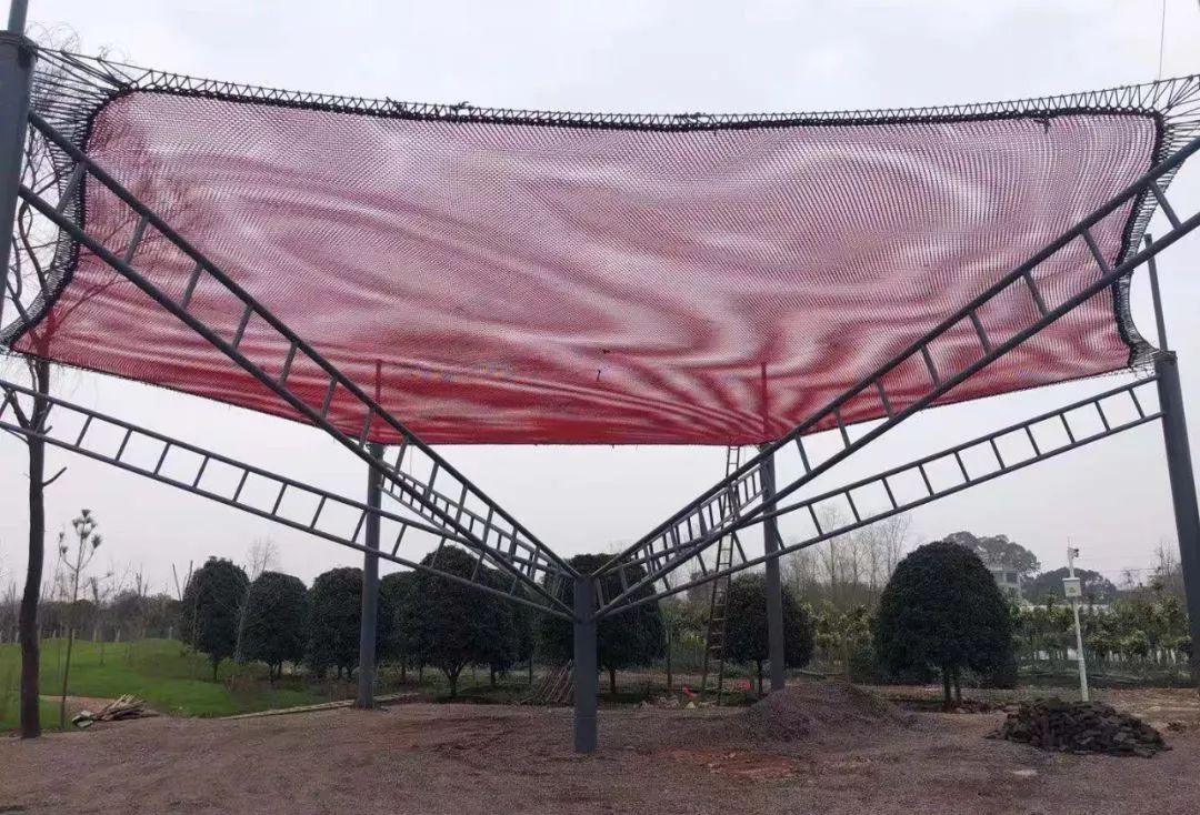 金华儿童乐园,金华市儿童乐园