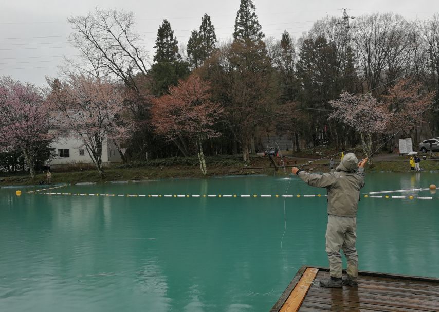 外国游客在日本钓鱼是一个什么样的体验?
