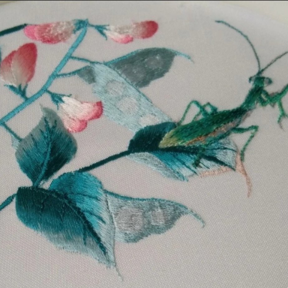 缝纫机绣毛线教程,贴布绣怎么刺绣不漏