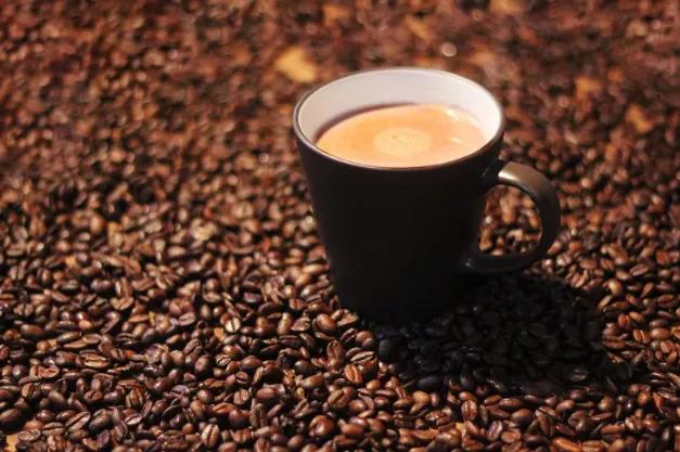 印尼猫屎咖啡怎么冲泡比较好喝,顶级印尼猫屎咖啡测评