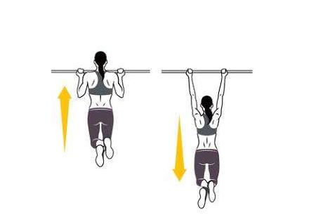 如何锻炼手臂肌肉？3方法鼓起你的肱二头，令你拥有雄健的手臂