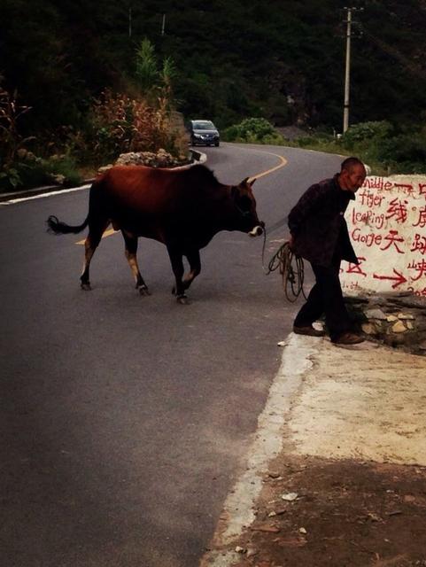 为故乡写魂,农民工为故乡招魂