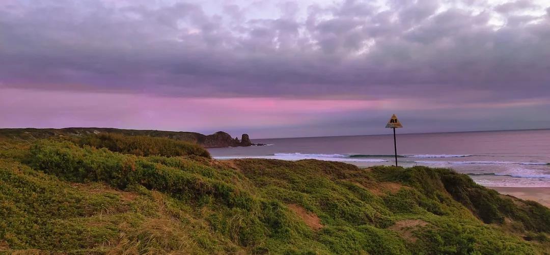最大蜈蚣捕食,巨型蜈蚣vs海鸟