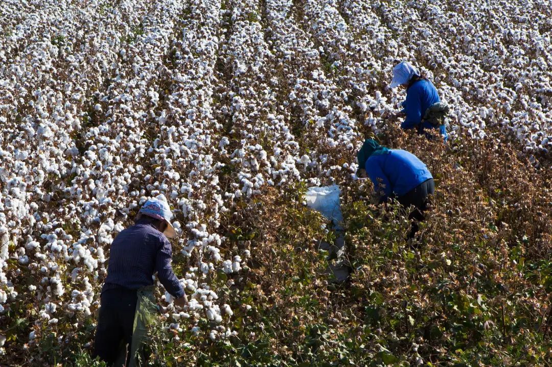 为什么有些商品新疆不包邮,疆浙沪不包邮为什么