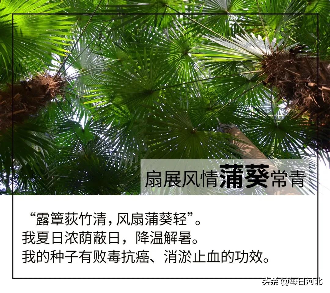 一个温暖又有趣的酒店,选择一个舒适温暖的酒店