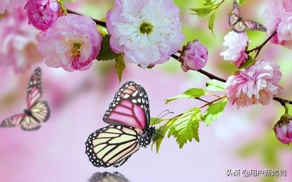 喜欢一个人得不到又放不下怎么办,喜欢她却得不到她