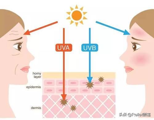 虞书欣的美白方法,虞书欣美白