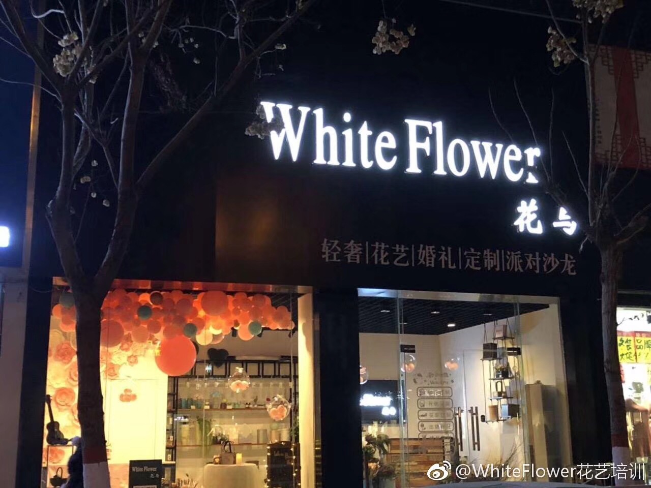 whiteflower闂ㄥ簵,whiteflower