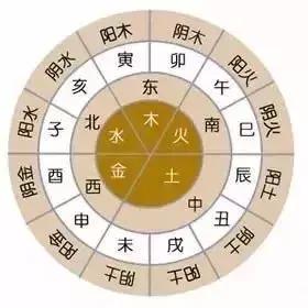 妞嶇墿椋庢按鐭ヨ瘑瑙嗛,妞嶇墿椋庢按涔︾睄