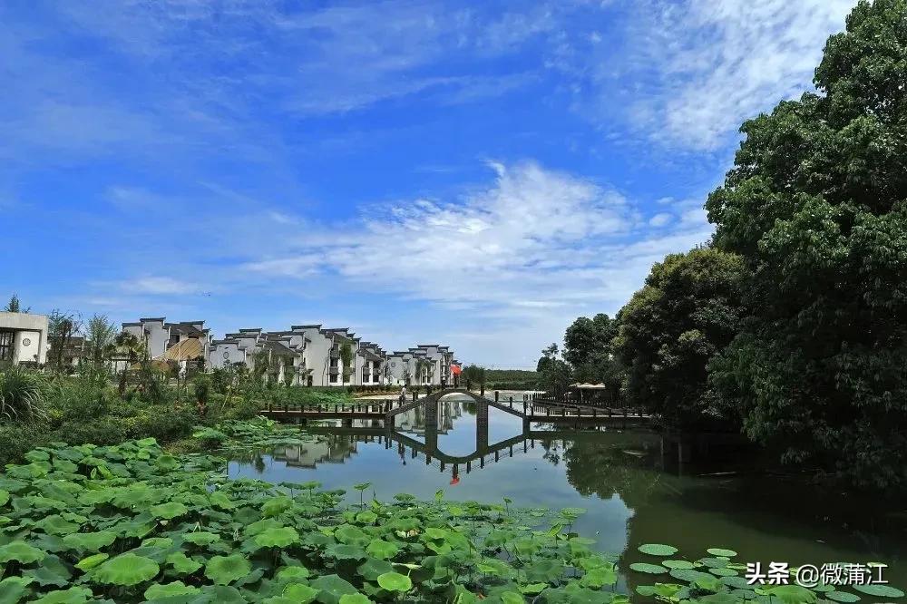 蒲江打造公园,蒲江田园生态区