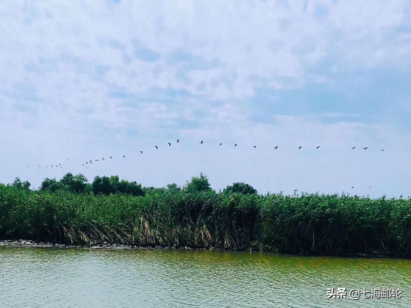 这才是真正的河流视频,这才是真正的碧蓝航线