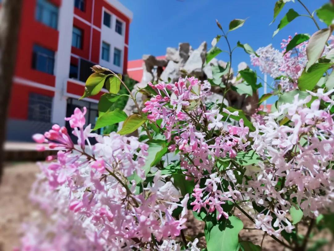 兰州新区高级中学2016,兰州新区高级中学2016届