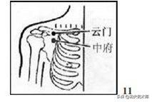 少林合战拳视频,少林抗击打腹部训练