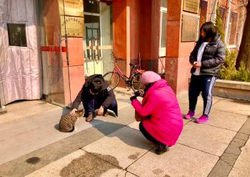 晚会喵、监考喵、楼长喵，被大学生宠爱也太幸福了吧