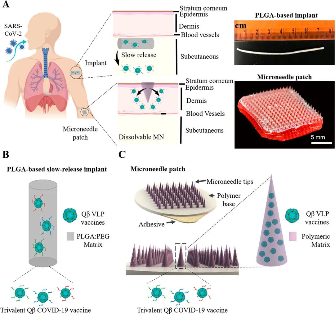 中国研究出抗新冠病毒新药,中国首家新冠治疗药物获批