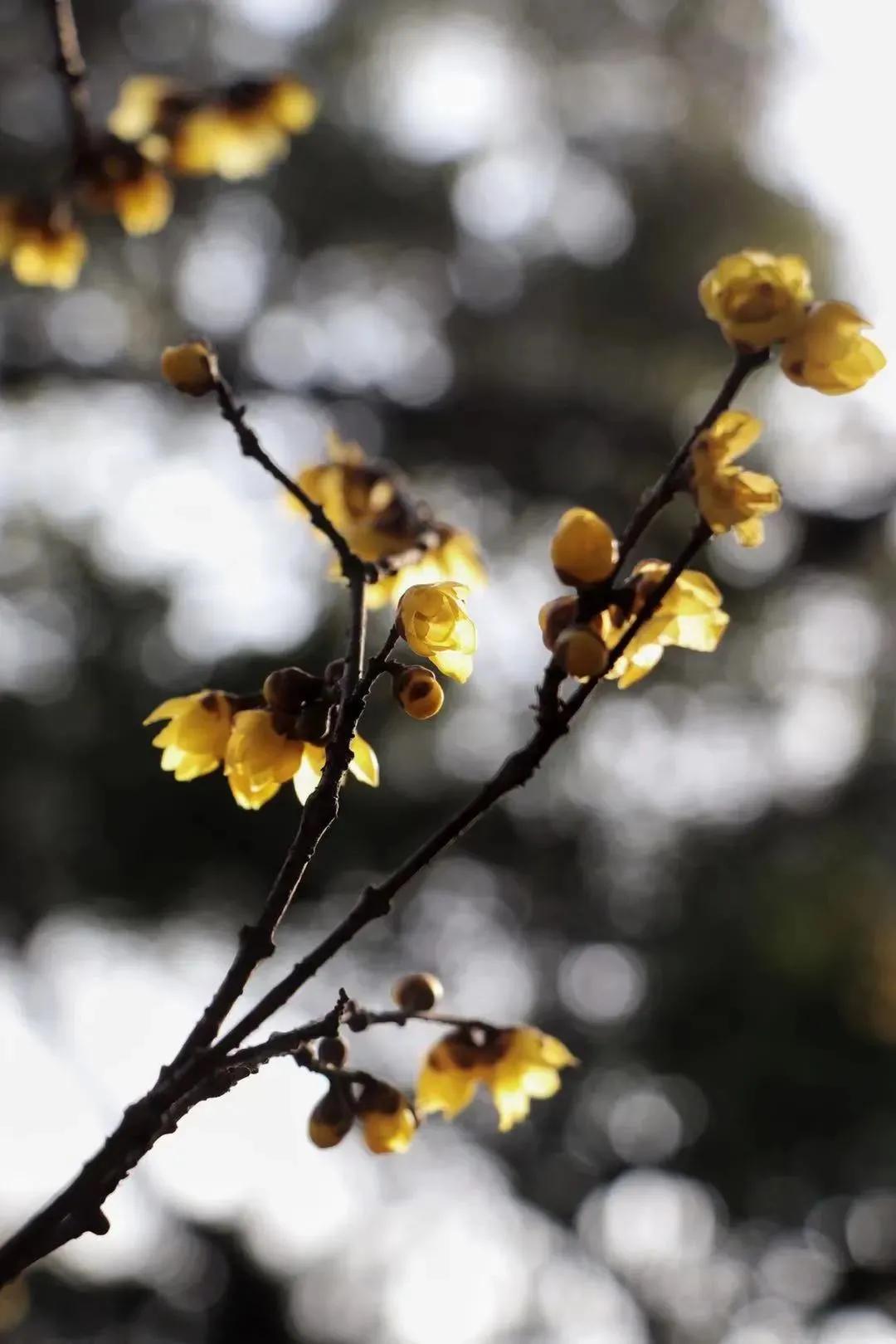 每周摄影作品全集,摄影作品展活动4k视频