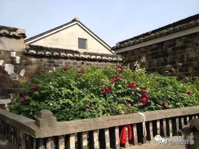 宁静淳朴的古村,宁静的夜晚古村