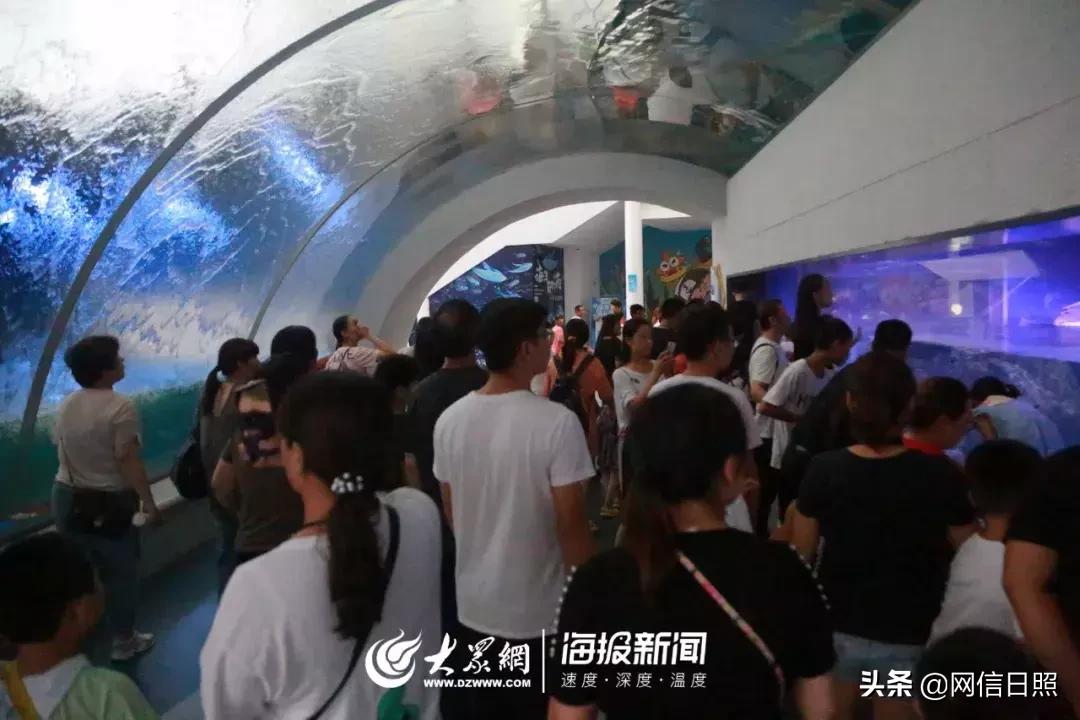 全是东北人的海边,日照海边下饺子