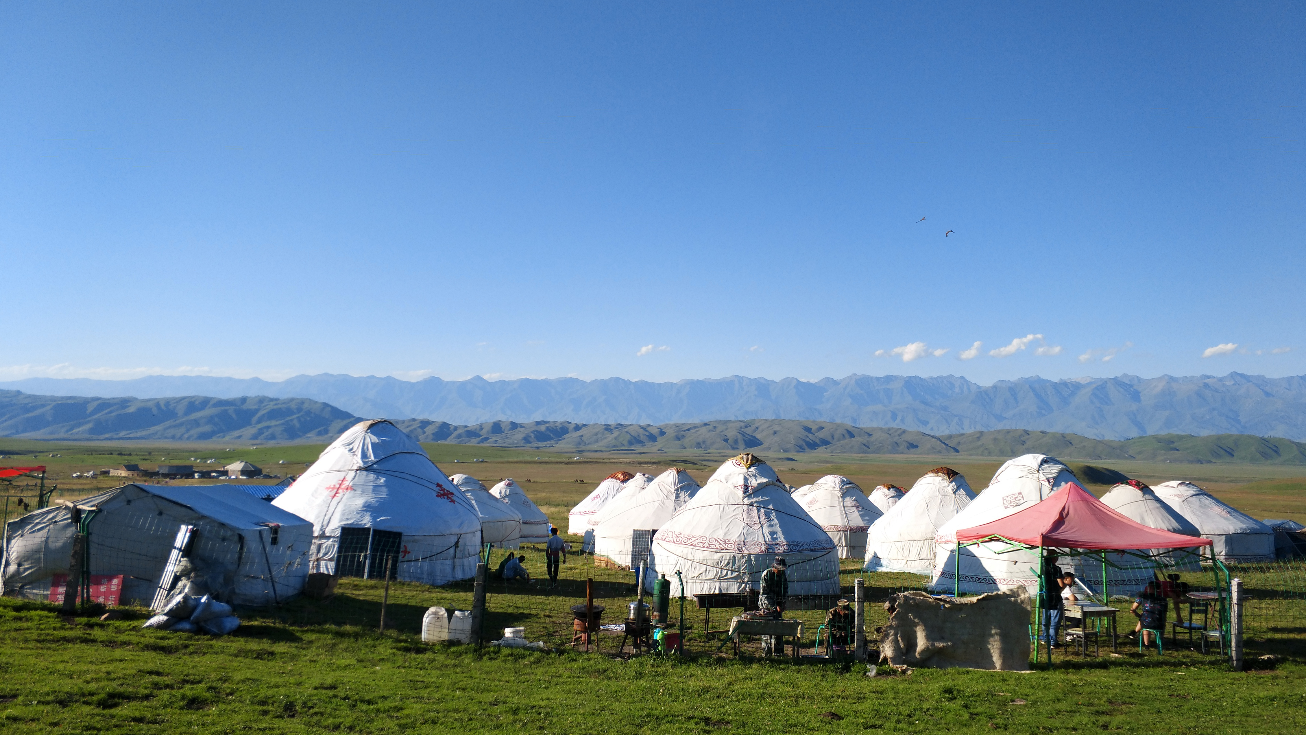 内蒙古真的都住蒙古包吗,内蒙人就一定住蒙古包吗