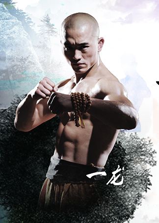 武僧一虎与武僧一龙是什么关系,武僧一龙是真打还是假打