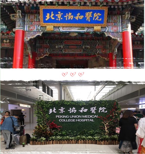 北京协和医院进修,协和医院进修之旅