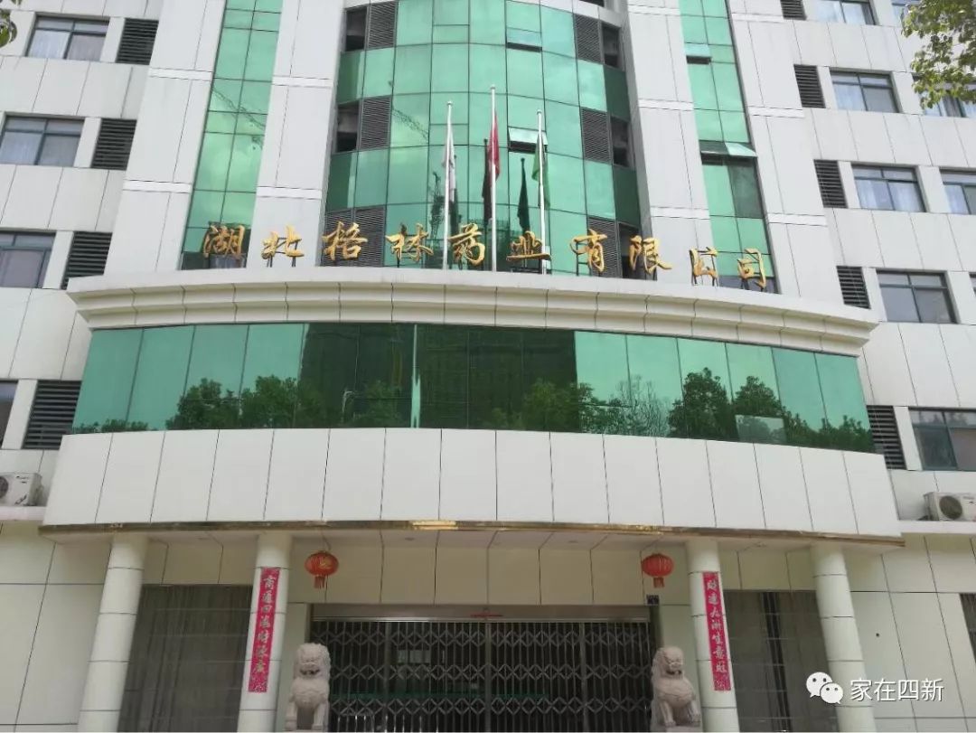 武汉四新宜居楼盘,四新最好的地段