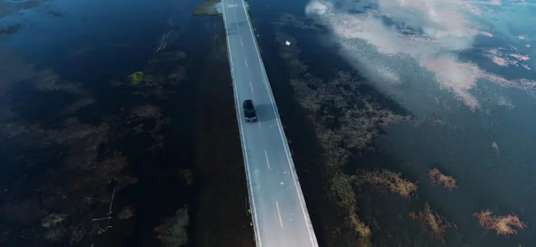 带你Get《司藤》同款神仙美景，春天的香格里拉这样玩