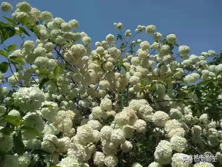 内心太空虚了怎么办,怎么样才能让自己的内心变大