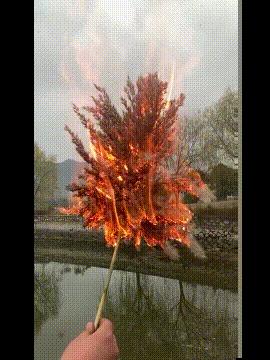 杀猪搞笑图gif,杀猪的照片搞笑图片