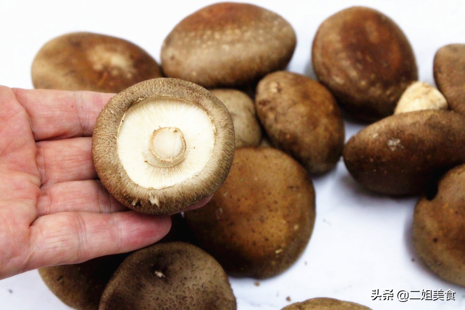 挑新鲜香菇,鲜香菇怎么选