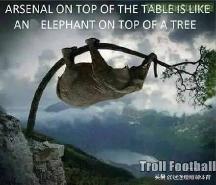 盘点足坛5大搞笑时刻,盘点足坛有趣的瞬间