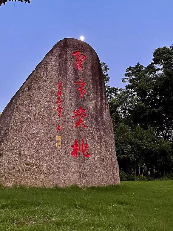 鏉窞瀛濋亾鍗氱墿棣嗗崈妗冨洯浠嬬粛,鏉窞瀛濋亾鍗氱墿棣嗗崈妗冨洯