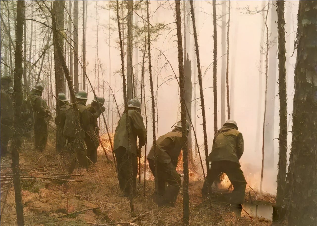 一九八七大火灾原因,回望火灾