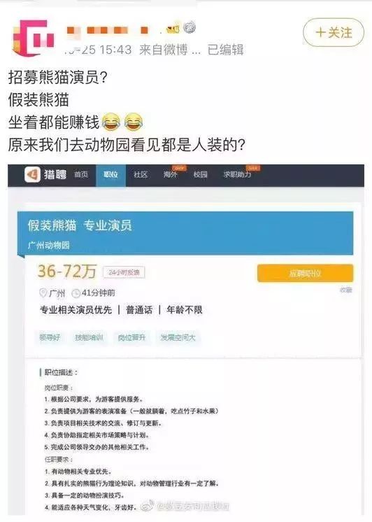 72万年薪!招聘演员假扮熊猫?网友炸了,动物园急了