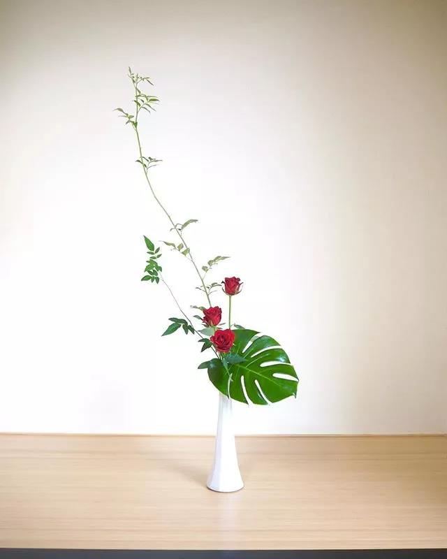 一花一世界一叶一菩提本来无一物,一花一世界一叶一菩提一场梦