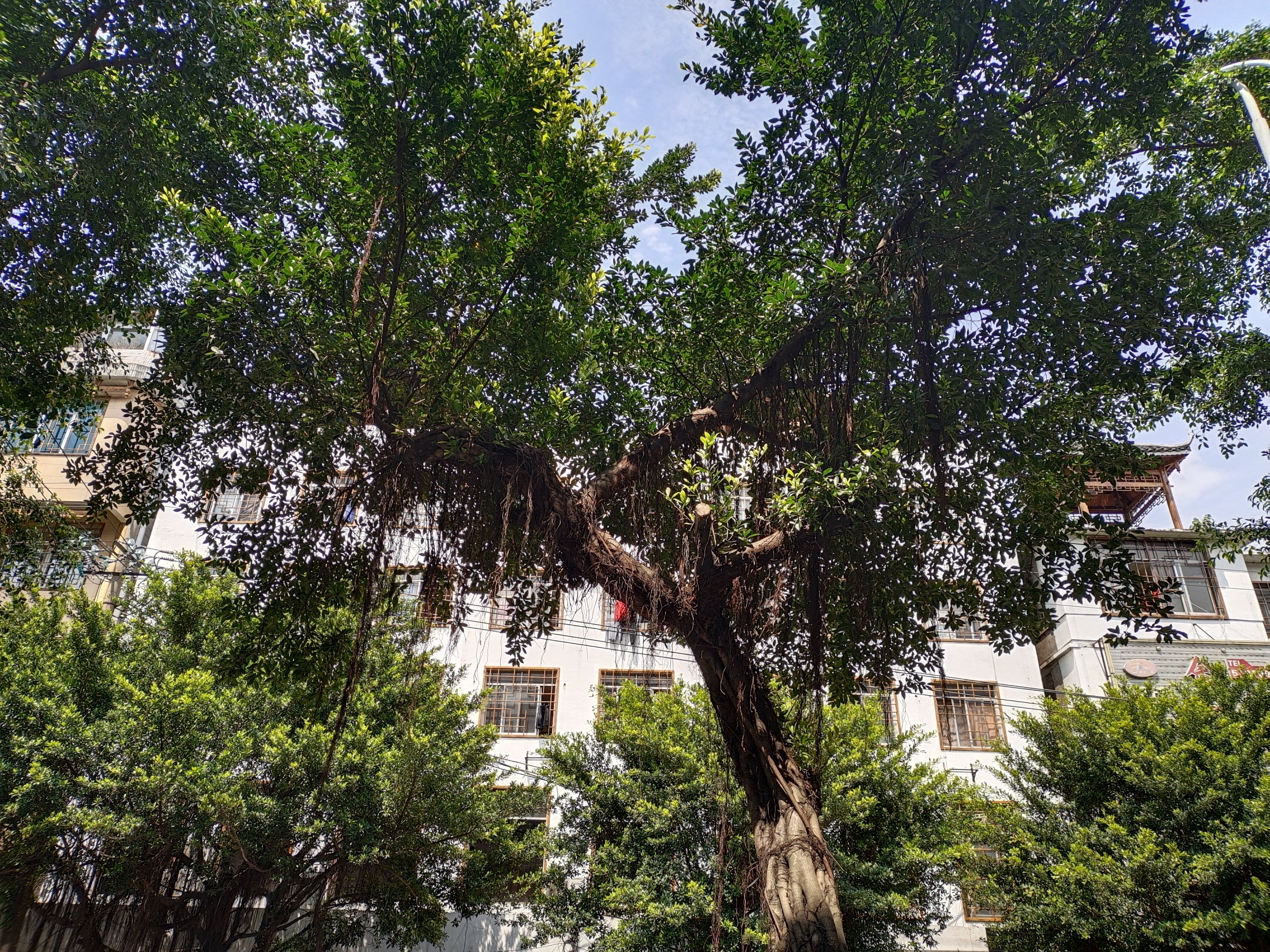 vivos6隐藏功能怎么弄出来,vivoS6手机恢复出厂设置