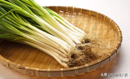 食材的香味,食材之味道