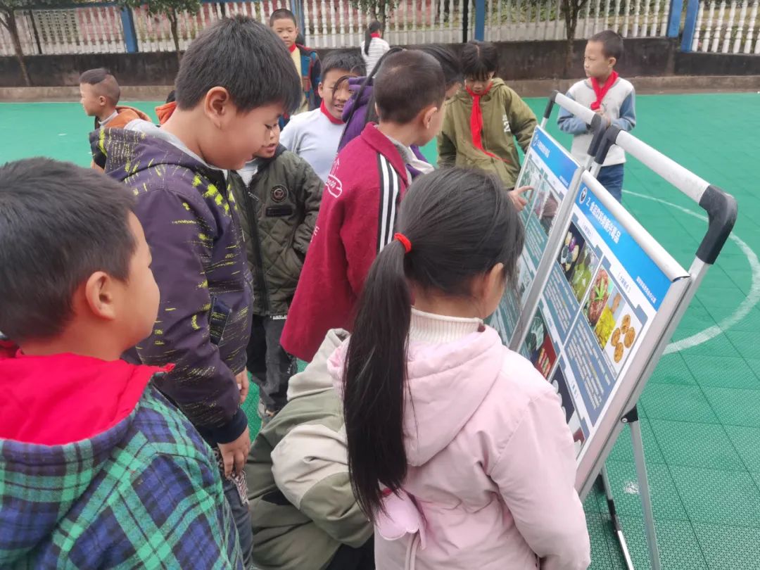 溆浦县禁毒教育基地,禁毒小课堂培训