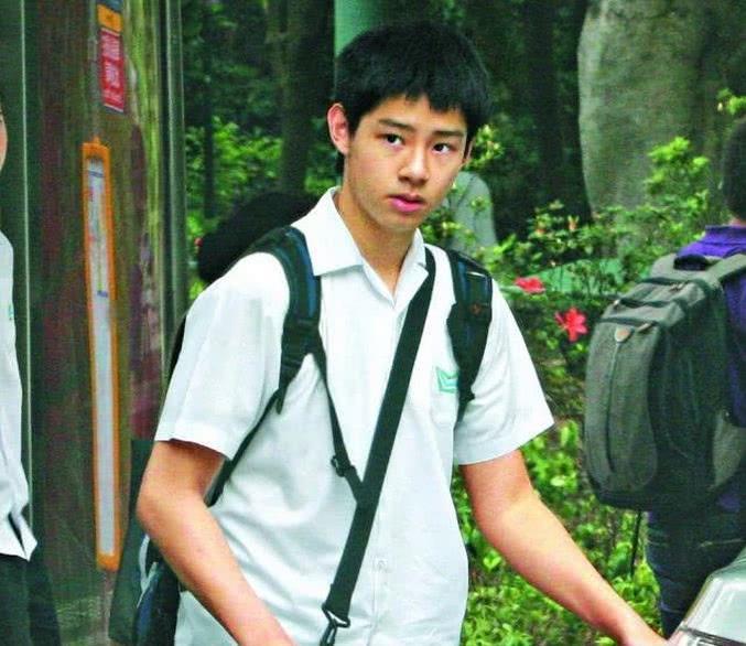 谭咏麟和他的妻子有儿子吗,谭咏麟的两位妻子及孩子