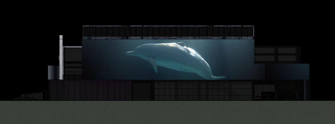 第十八届沙井金蚝美食民俗文化节,2019年深圳市沙井蚝美食节