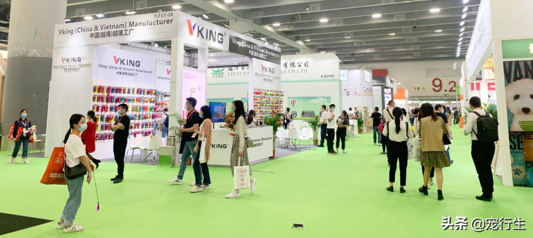 2020CIPS宠物展于广州开展，一大波萌物正在靠近