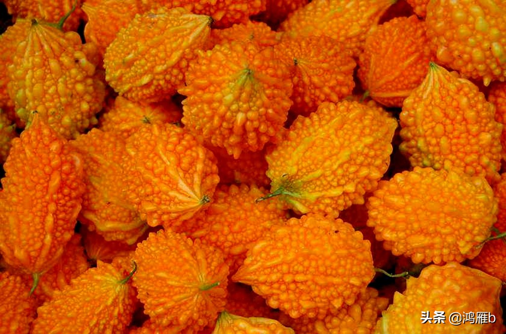 您认识这是什么，能叫出它的名字吗？