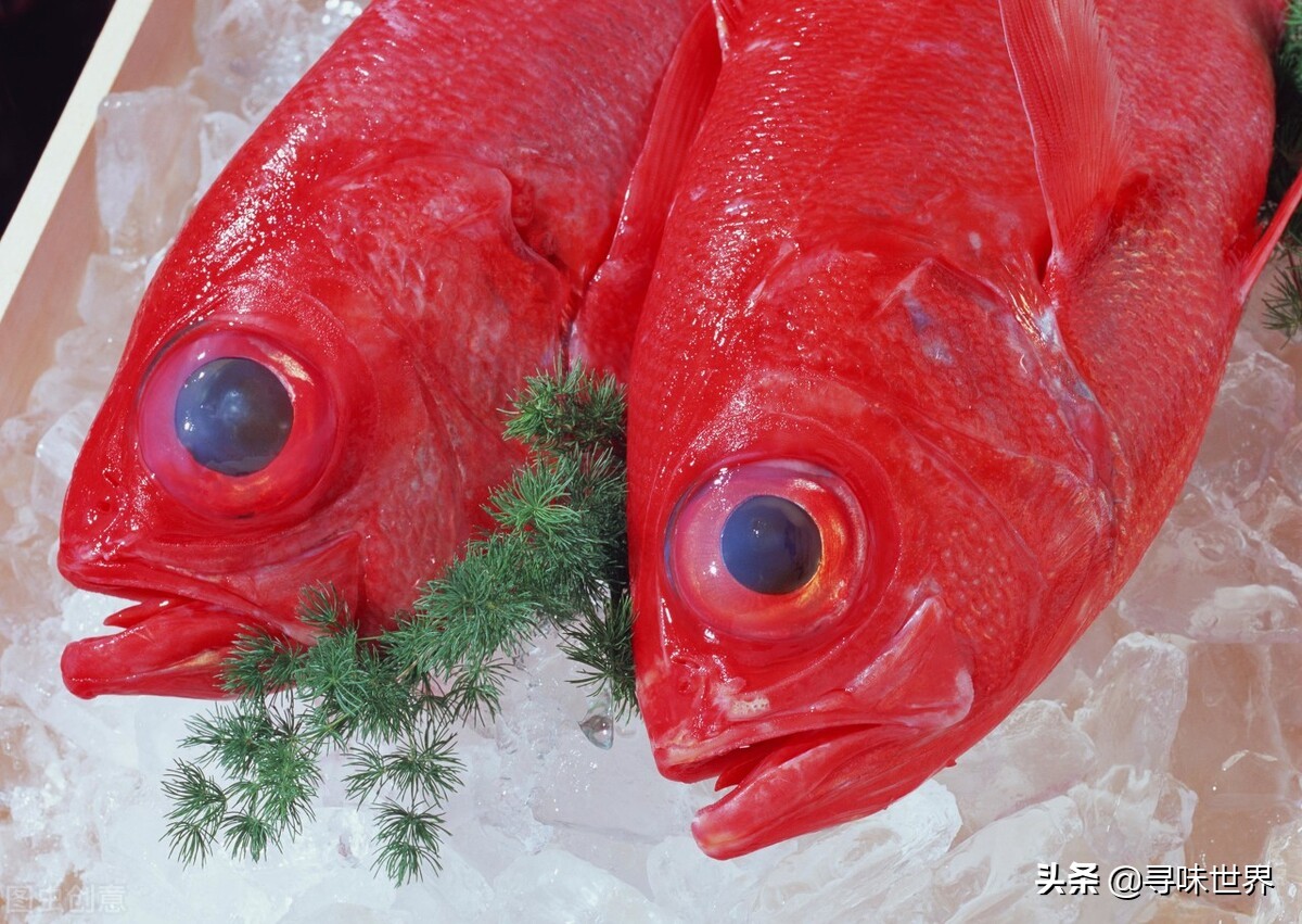 买鱼食内行人专买这十种纯海鱼,内行人就买这5种鱼