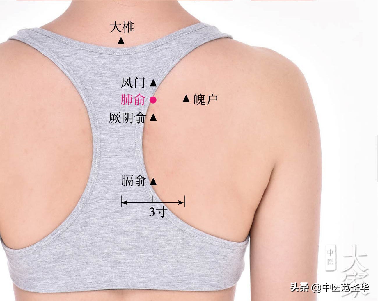 小儿长高推拿全套视频,小儿长高推拿全套